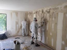 Best Residential Mold Inspection & Testing  in Swarthmore, PA